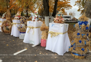Выставка караваев на &quot;Дожинках&quot; в Великой Раевке: какой же самый лучший?