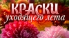 Пик цветения! Ботанический сад покажет редкую коллекцию из 200 сортов георгин