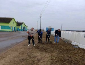 Работники ОАО "Старица-Агро" подключились к наведению порядка на животноводческих объектах