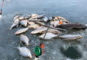 Проверь лед и пересчитай крючки – как рыбачить зимой без штрафов и риска?