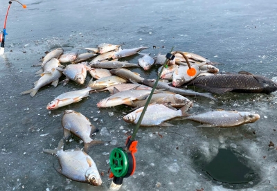 Нажмите для предварительного просмотра изображения