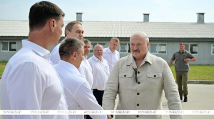 &quot;Почему не интенсифицировать процесс?&quot; Лукашенко поставил принципиальные вопросы в сфере козоводства