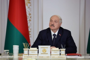 Продажа за 1 базовую и льготы: Президент рассмотрел антикризисный план Витебщины
