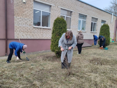 Нажмите для предварительного просмотра изображения