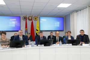 Делегаты Всебелорусского собрания встречаются с трудовыми коллективами