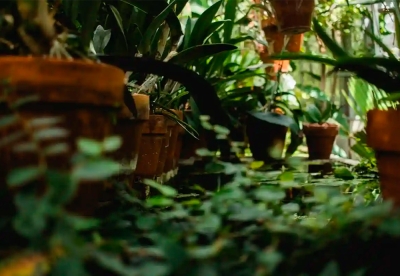 Нажмите для предварительного просмотра изображения