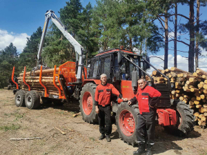 Лесоводы Копыльского опытного лесхоза активно работают на ветровально-буреломных лесосеках