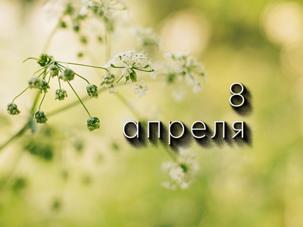 А что у нас в календаре? 8 апреля