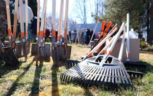 18 апреля вся Беларусь выйдет на традиционный весенний субботник