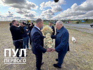 Рекорд Минской области: аграрии преодолели рубеж в 2 млн тонн зерна