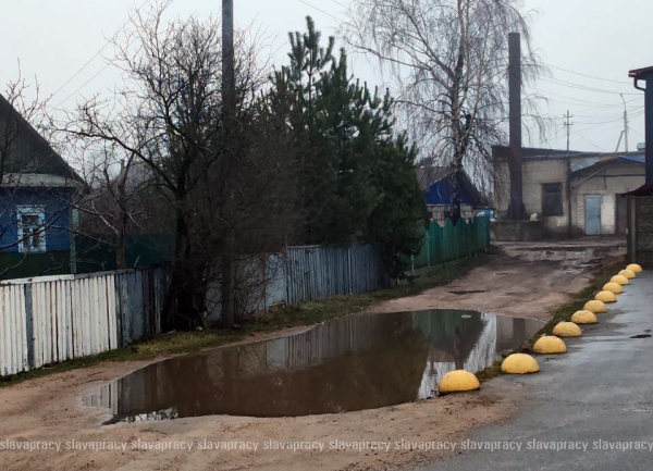 Лужа-долгожительница: водная преграда в Копыле