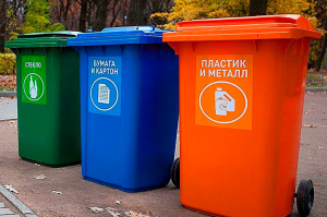 В мусорные контейнеры нельзя: куда выбрасывать листья и траву со своего участка?