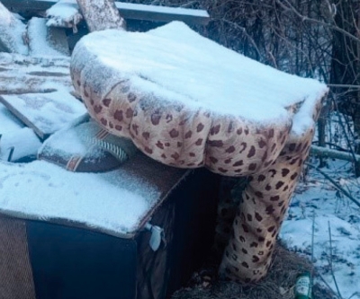 Нажмите для предварительного просмотра изображения