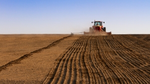 В Беларуси засеяно 37% площадей ранних яровых культур