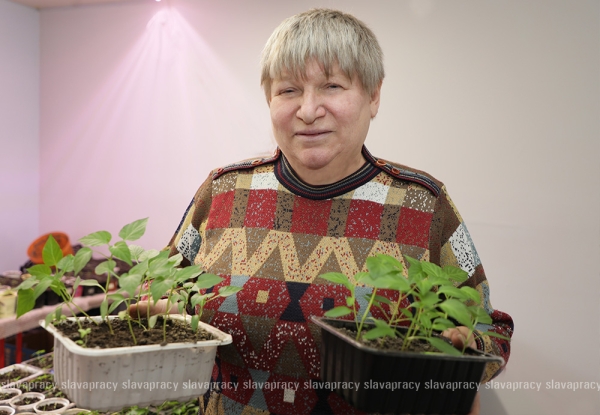 Ананасы и фейхоа под Копылем? Рассказываем, как в социальном пансионате выращивают экзотику