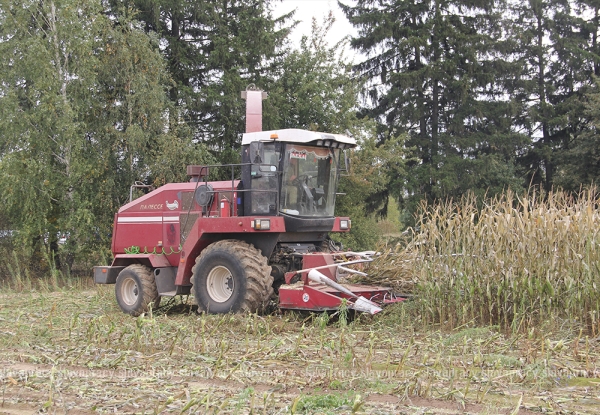 Какой же фирменный стиль у ОАО &quot;Копыльское&quot;?