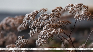 Температурные качели: в Беларусь идут скандинавские морозы и штормовой ветер