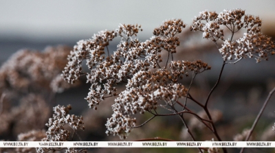 Нажмите для предварительного просмотра изображения