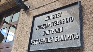 Бесхозяйственность под топором: КГК выявил факты порчи древесины в лесах Минщины