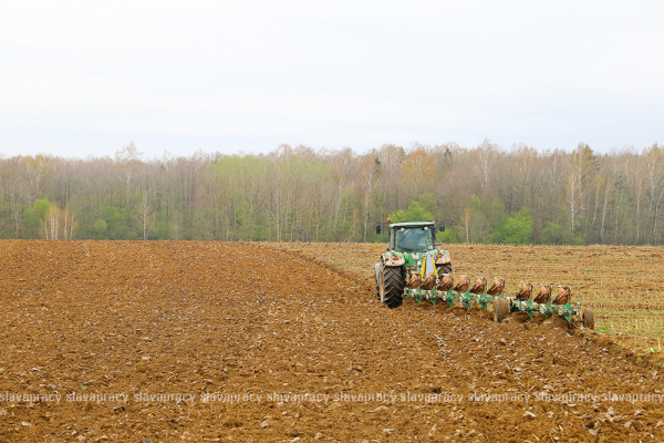 В ОАО «Пионер-Агро» не умолкает гул тракторов – весенние работы в самом разгаре