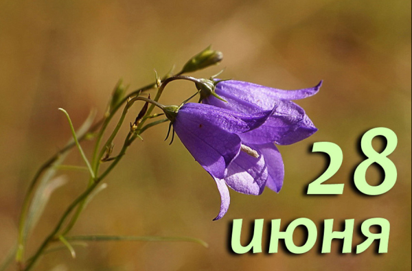 А что у нас в календаре? 28 июня