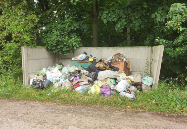 Не мусором единым