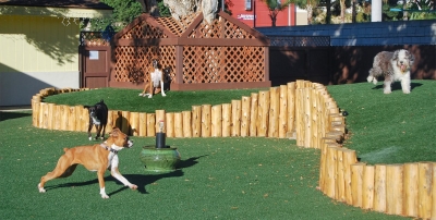 Нажмите для предварительного просмотра изображения