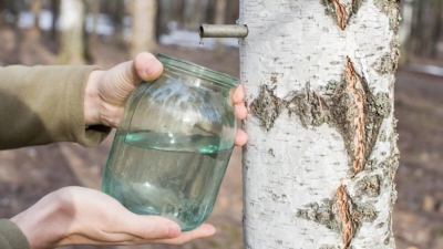 Нажмите для предварительного просмотра изображения