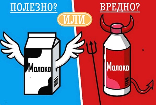По стакану белого? Влияют ли молоко и молочные продукты на здоровье человека? Разбирались