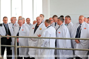 В каком &quot;дворце&quot; должны содержать коров? Ответил Президент