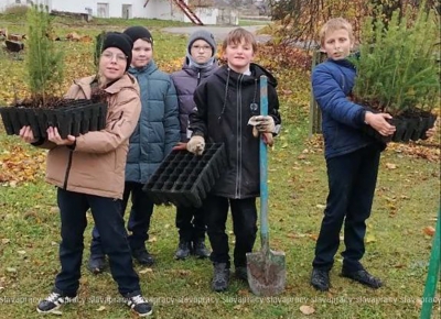 Добрая традиция: как в Семежево сообща преображают родной край