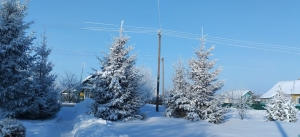 Зимняя сказка: красота родного края глазами творческого человека