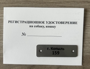 Рассказываем, как регистрировать кошек и собак