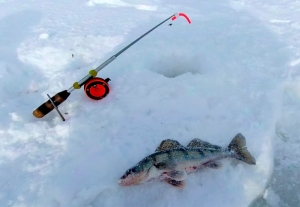 Тонкий лед не прощает ошибок – правила безопасности для зимней рыбалки