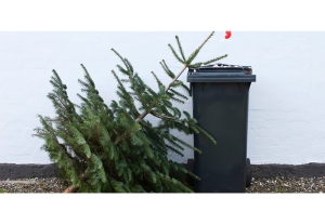 Жизнь после праздников – как правильно утилизировать новогоднюю ель?