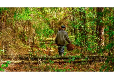 Нажмите для предварительного просмотра изображения