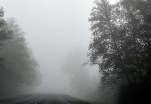 Искажение реальности – ГАИ предупредила водителей об опасности туманной погоды