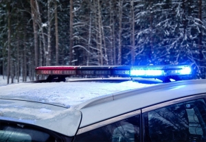 Штормовое предупреждение – на Беларусь обрушатся метели и шквальный ветер