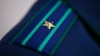 По указанию зоотехника: под Копылем раскрыли двухлетнюю схему сокрытия падежа скота