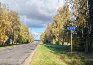 Деревья у дорог Копыльщины:  быть или не быть?