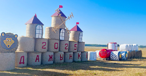 Соломенные чудеса Копыльщины: фотоподборка лучших композиций