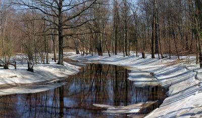 Нажмите для предварительного просмотра изображения