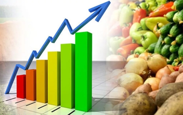 В Минской области растут объемы производства овощей