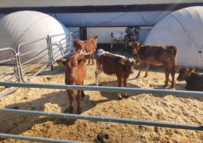 Нажмите для предварительного просмотра изображения