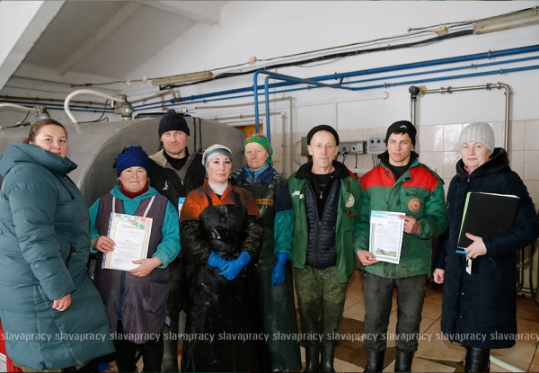 Герои продовольственной безопасности – на Копыльщине наградили лучших животноводов