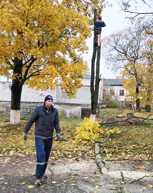 Семежевский сельсовет: кронировали деревья и вырубили кусты