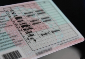 Замена прав через интернет – в Беларуси расширили список электронных услуг