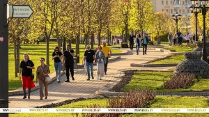 Рациональное трудолюбие и бережливость: 7 трендов финансовой жизни белорусов