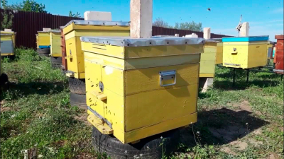 Нажмите для предварительного просмотра изображения