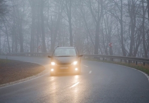 Осторожно, туман: МЧС и Белгидромет предупреждают об опасности на дорогах 20 декабря